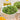 Microgreens