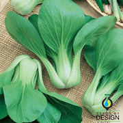 Cabbage Pak Choi White Stem Seed