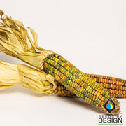 ornamental earth tones dent corn