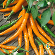 Pepper Seeds - Hot - Cayenne Orange