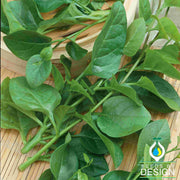 Malabar Spinach Seeds - Big Round Leaf