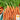 Carrot - Little Finger (Holistic)