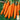 Carrot - Nantes Scarlet (Holistic)