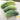 Cucumber - Wisconsin SMR 58 (Holistic)