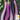 Eggplant - Ping Tung Long (Holistic)