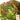 Lettuce, Romaine - Brune Di Hiver (Holistic)