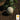 Melon - Honey Dew Green Flesh (Holistic)
