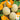 Melon - Sierra Gold (Holistic)