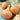 Onion, Short Day - Texas Early Grano 502 (Holistic)