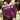 Pepper, Sweet - Purple Beauty (Holistic)