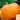 Pumpkin - Howden's Field (Holistic)