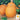 Pumpkin - Jack O'Lantern (Holistic)