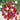 Radish - Easter Egg Mix (Holistic)