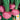 Radish - Purple Plum (Holistic)
