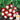 Radish - Sparkler (Holistic)