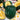 Squash, Winter - Table King Bush (Holistic)
