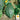 Squash, Winter - Hubbard Green Imp. (Holistic)