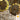 Sunflower - Mammoth Grey Stripe (Holistic)
