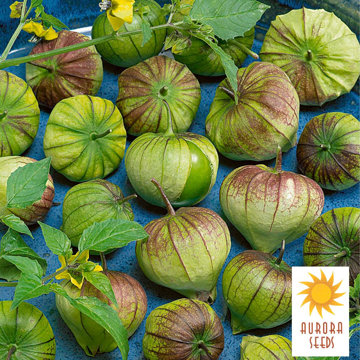 Tomatillo | Aurora | Biologico | Semi | Demetra | Primoza | Il - Foto 2