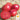 Tomato - Brandywine Pink - Potato Leaf (Holistic)