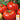 Tomato - Brandywine Red - Potato Leaf (Holistic)