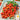 Tomato - Red Cherry Small (Holistic)