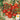 Tomato - Red Cherry Large (Holistic)