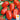 Tomato - Roma (Holistic)