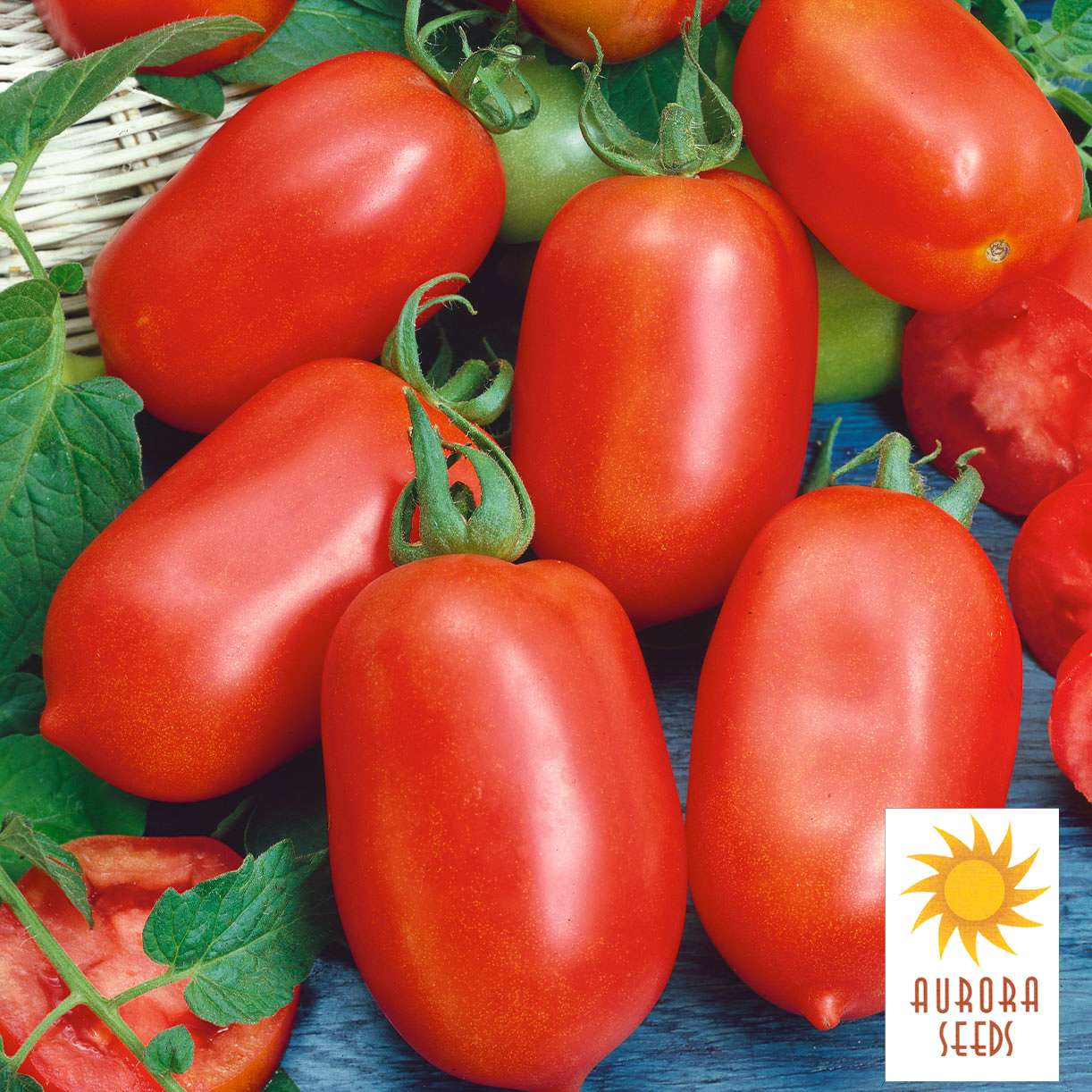 Tomato - Roma (Holistic) – SeedsbyDesign.com