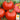 Tomato - Rutgers VF (Holistic)