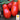 Tomato - San Marzano Indeterminate (Holistic)