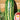 Watermelon - Jubilee (Holistic)