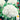 Cauliflower - Snowball Y Imp. (Holistic)