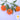Tomato - Flame Orange (Holistic)