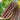 Asparagus - Sweet Purple