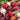 Beet - Rainbow Blend