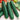 Cucumber - Long Green Imp.