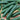 Cucumber - Tendergreen Burpless