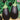 Eggplant - Odyssey F1