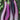 Eggplant - Ping Tung Long