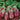 Eggplant - Shooting Stars