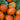 Eggplant - Turkish Orange