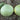 Gourd - Bushel