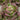 Lettuce, Batavian - Chrystal