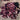Lettuce, Leaf - Oakleaf - Red