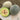 Melon - Green Nutmeg