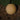 Melon - Honey Dew Orange Flesh