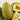 Melon - Whimsy F1