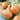Onion, Short Day - Texas Early Grano 502