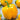 Pepper, Sweet - Golden Cal Wonder